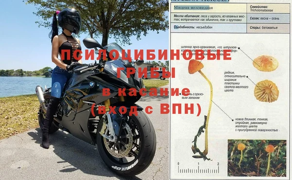 кокаин перу Аркадак