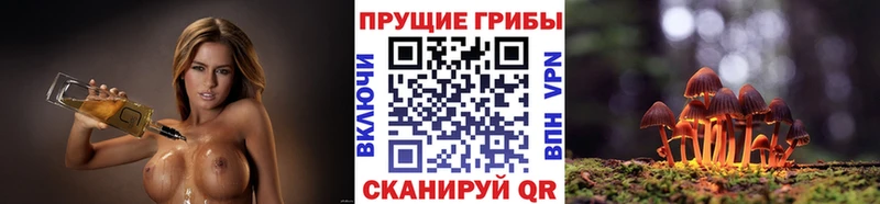 Псилоцибиновые грибы Psilocybine cubensis  Оханск 